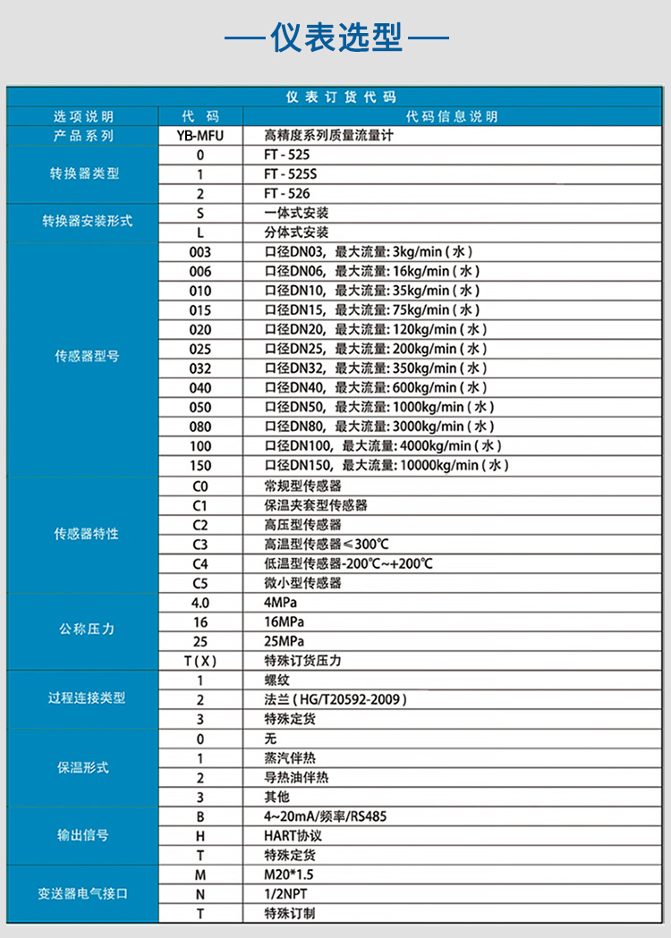 防腐質(zhì)量流量計選項表