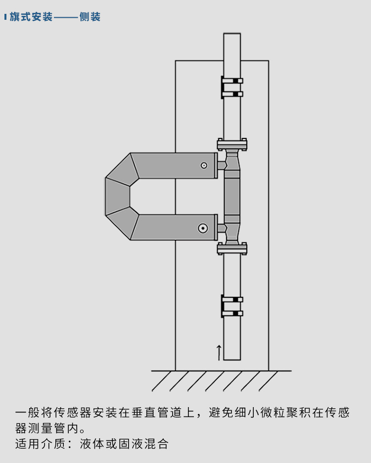 防爆質(zhì)量流量計垂直安裝示意圖